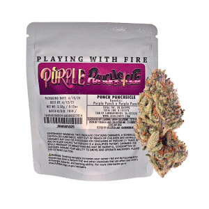 Jungle Boys Punch Punchsicle